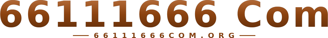 66111666 Com logo